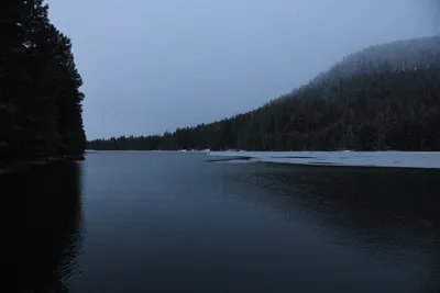 DSC_5804 (Large).JPG